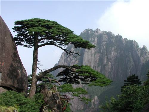 廣州到黃山物流專線,廣州到黃山貨運公司